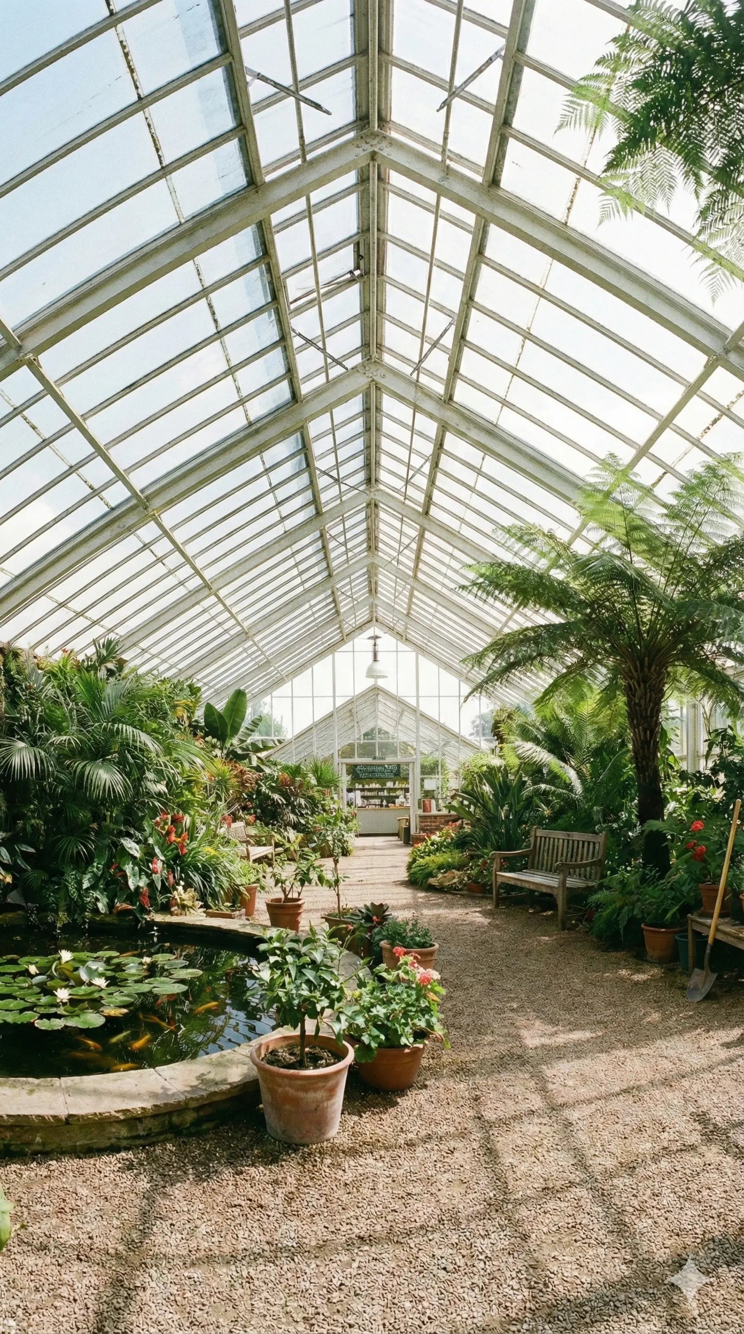 Greenhouse with plants, a pond, and a high glass ceiling