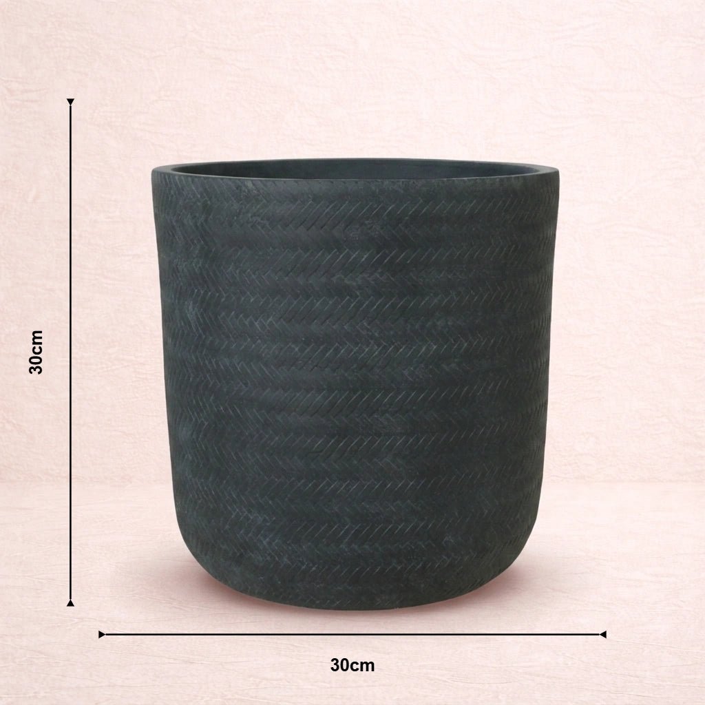 Linear Texture Planter
