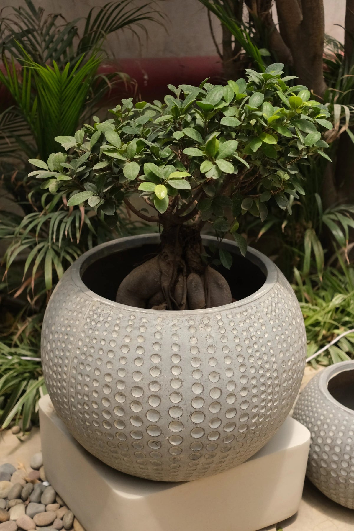 Starlit Ambar Planter