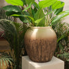 Dhara Blend Planter