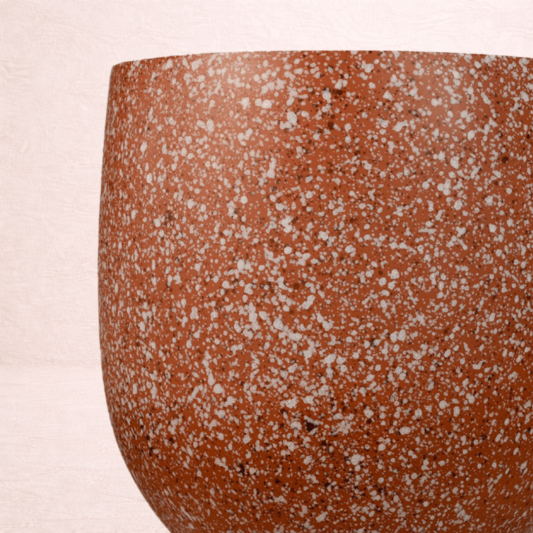 Petal Dust Planter