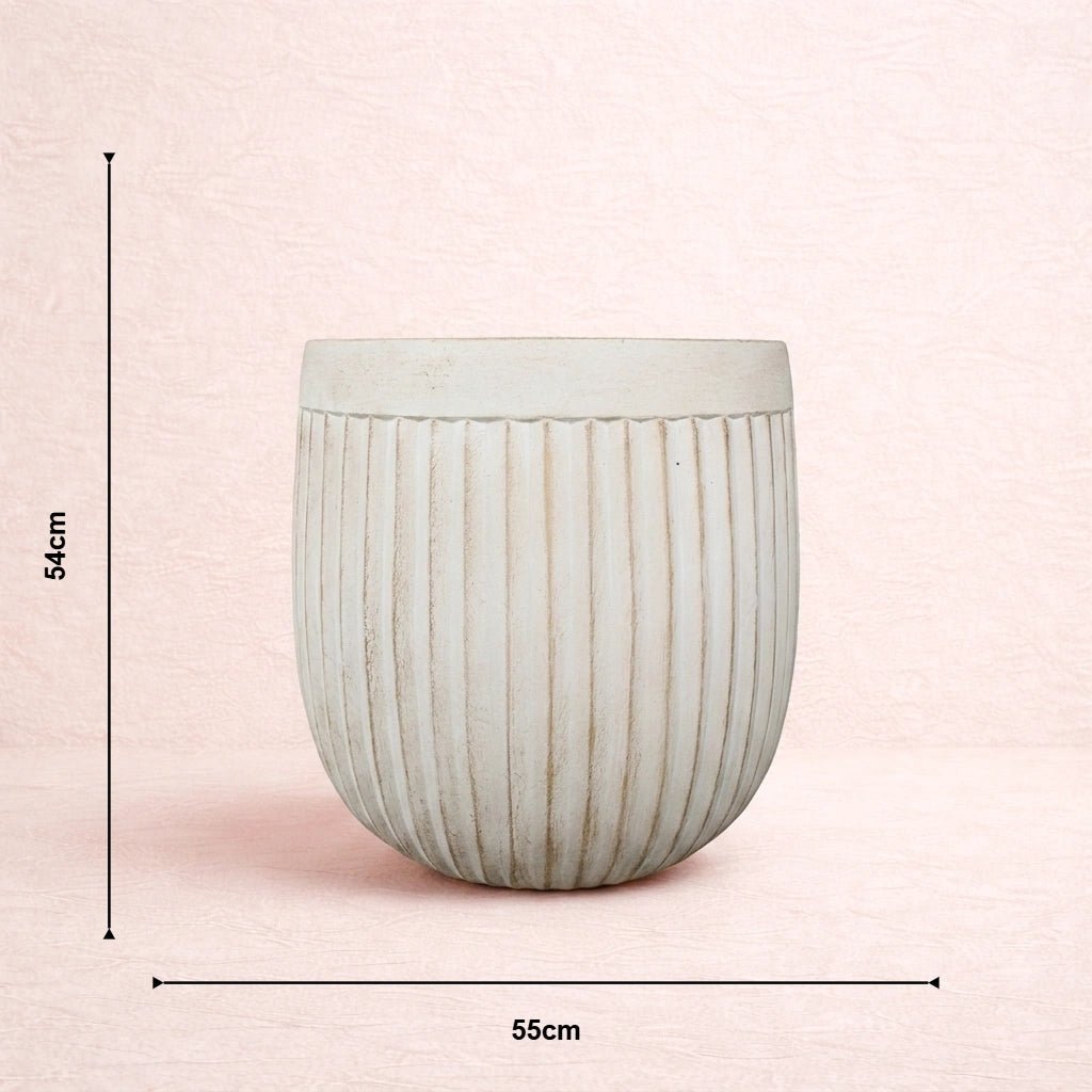 Reed Planter
