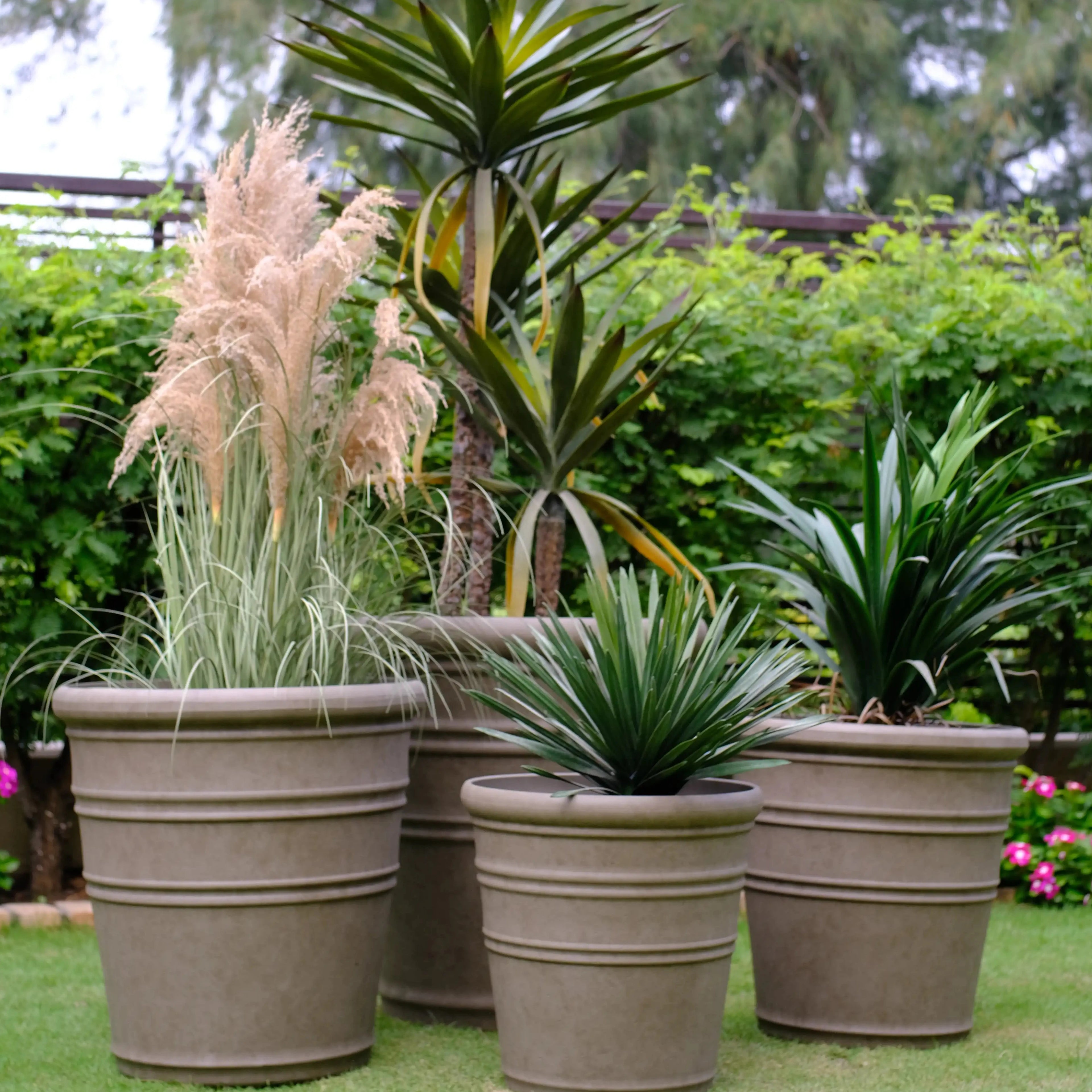 Torus Planter