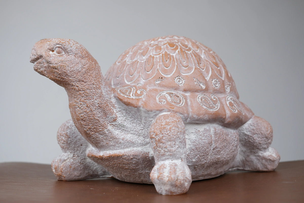 Terra Turtle