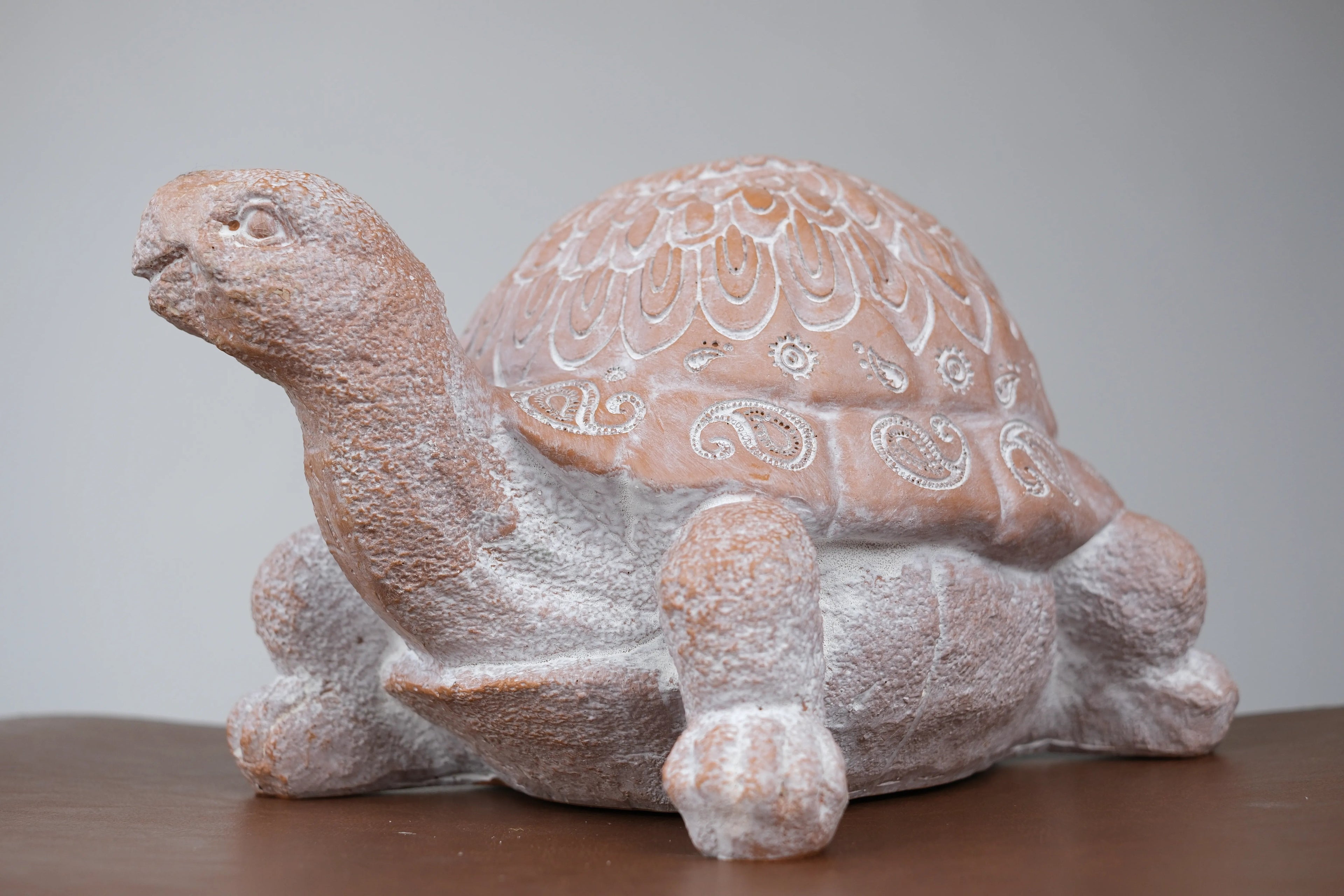 Terra Turtle