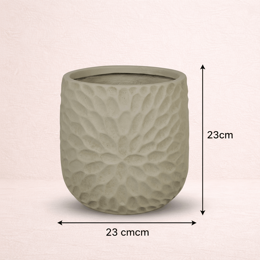 The Patra Planter