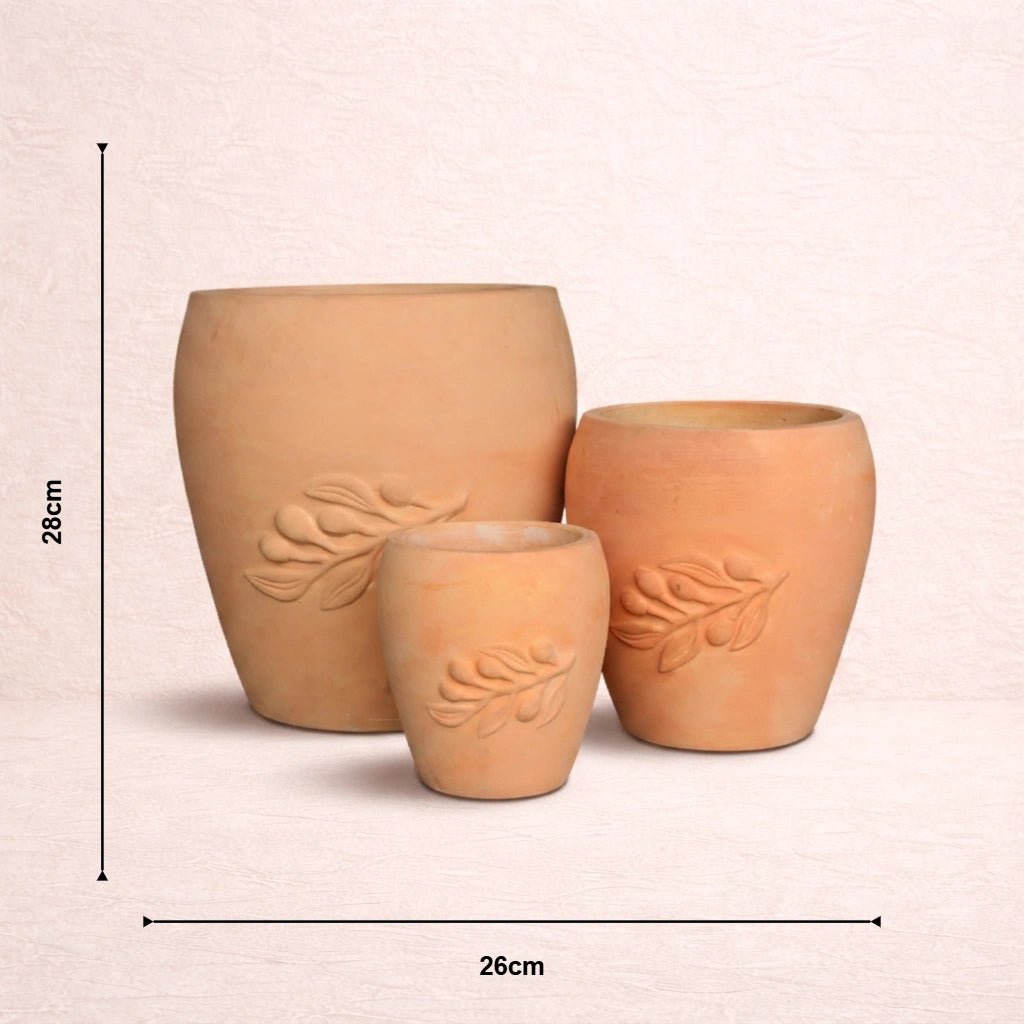 Terracotta Bloom