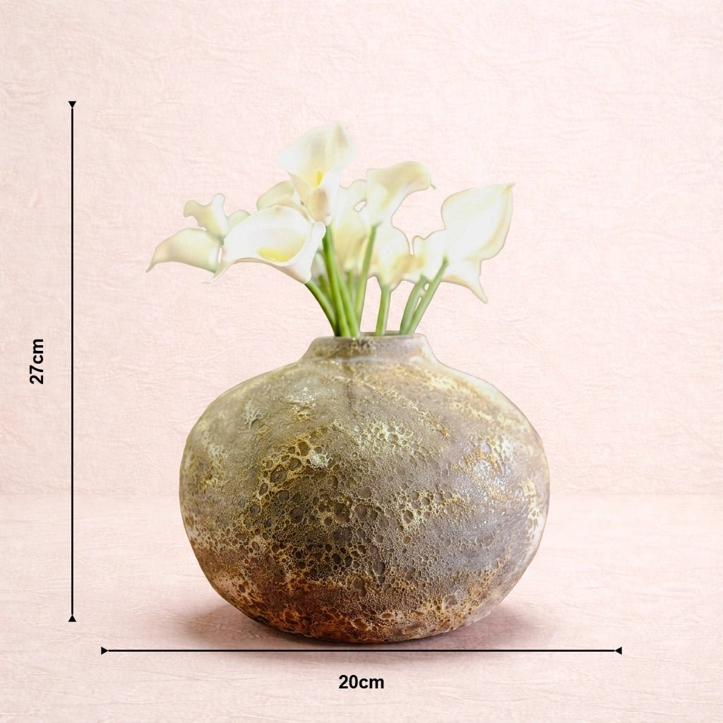 Moon Rock