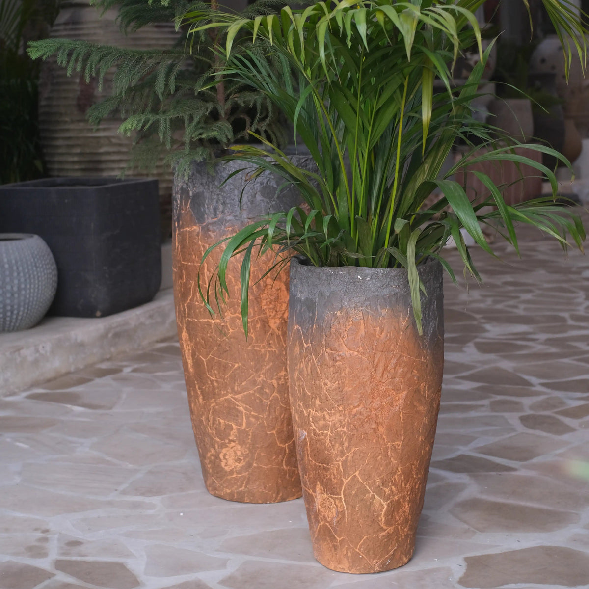 Fire & Ice Planter