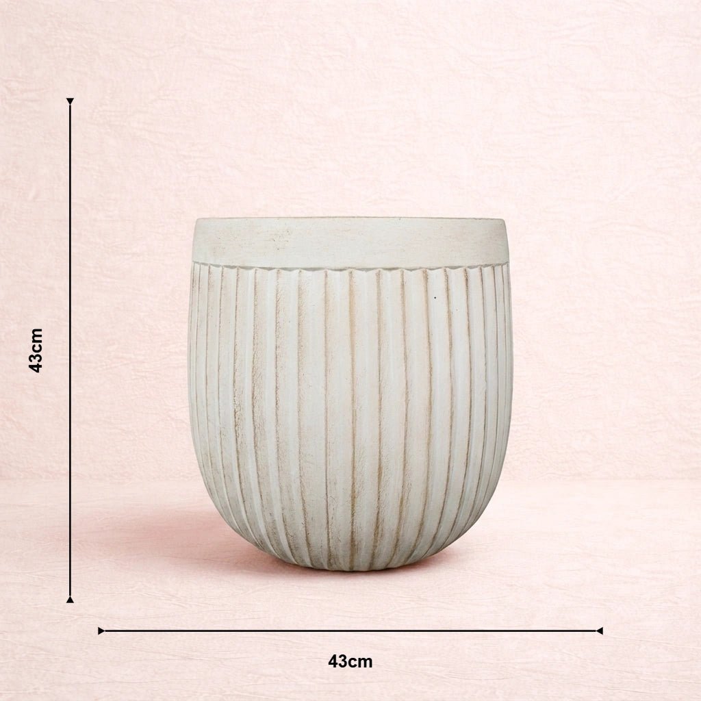 Reed Planter